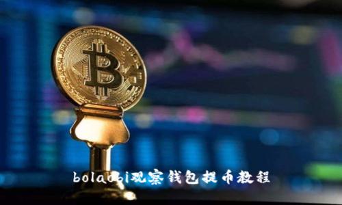 bolaobi观察钱包提币教程