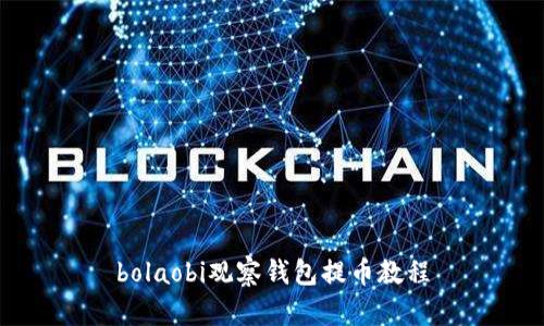 bolaobi观察钱包提币教程