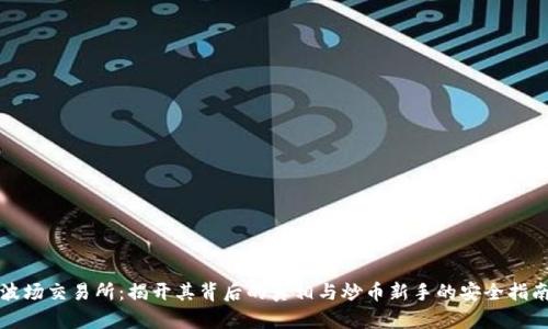 波场交易所：揭开其背后的真相与炒币新手的安全指南