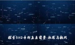 探索BHD币的未来前景：机遇与挑战