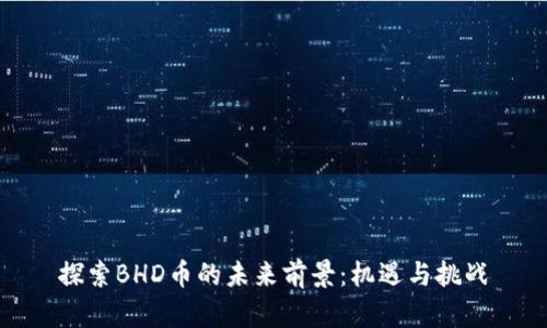探索BHD币的未来前景：机遇与挑战