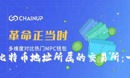 如何查找比特币地址所属的交易所：一站式指南