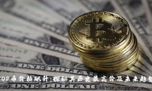 TOP币价格飙升：探秘其历史最高价及未来趋势