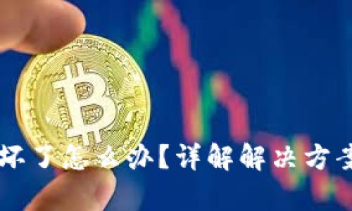 如果Trezor钱包坏了怎么办？详解解决方案与数据恢复技巧