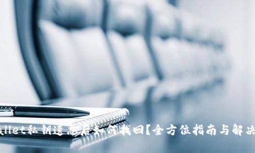 tpwallet私钥遗忘后如何找回？全方位指南与解决方案