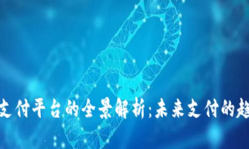 数字货币支付平台的全景解析：未来支付的趋势与挑战