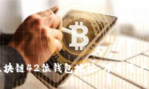 深入解析区块链42位钱包地址：万千用户的安全之选