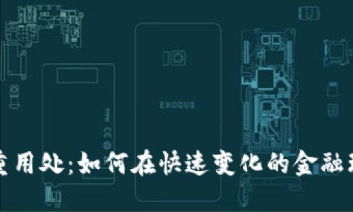 数字货币钱包的多重用处：如何在快速变化的金融环境中保护你的资产