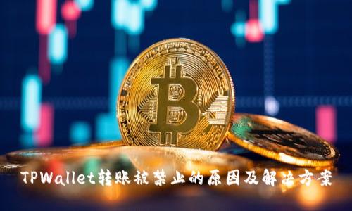TPWallet转账被禁止的原因及解决方案