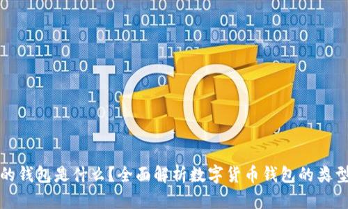 存虚拟币的钱包是什么？全面解析数字货币钱包的类型与安全性