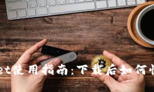 TPWallet使用指南：下载后如何快速上手