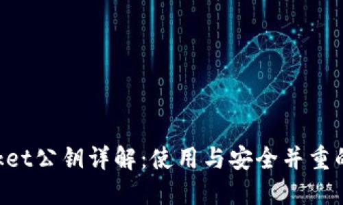 TokenPocket公钥详解：使用与安全并重的数字钱包