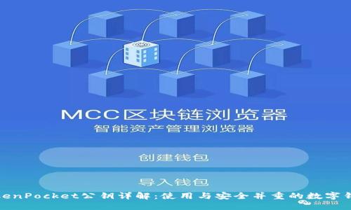 TokenPocket公钥详解：使用与安全并重的数字钱包