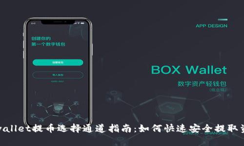 tpwallet提币选择通道指南：如何快速安全提取资金