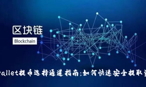 tpwallet提币选择通道指南：如何快速安全提取资金