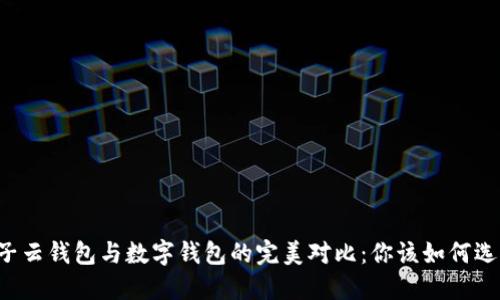 麦子云钱包与数字钱包的完美对比：你该如何选择？