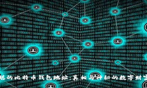 中本聪的比特币钱包地址：真相与神秘的数字财富之旅