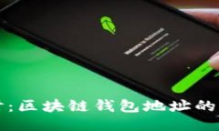 深入探讨：区块链钱包地址的编码长度