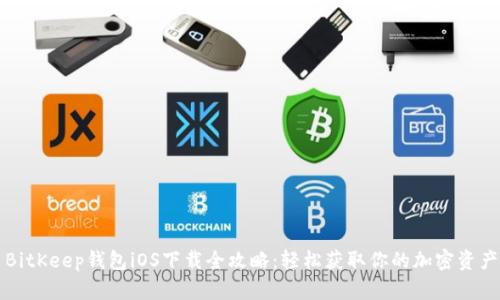 BitKeep钱包iOS下载全攻略：轻松获取你的加密资产