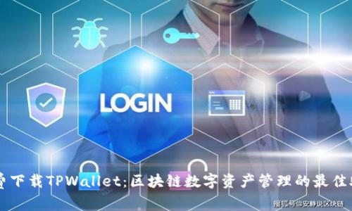 免费下载TPWallet：区块链数字资产管理的最佳助手