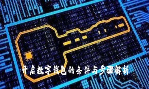 开启数字钱包的条件与步骤解析
