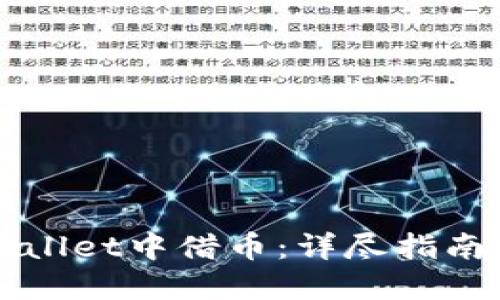 如何在TPWallet中借币：详尽指南与实用技巧