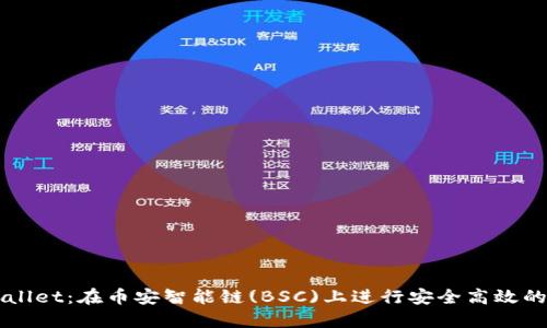 探索TPWallet：在币安智能链(BSC)上进行安全高效的加密交易