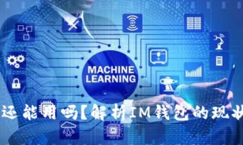 IM钱包还能用吗？解析IM钱包的现状与未来
