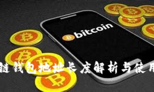 区块链钱包地址长度解析与使用指南