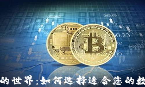 
探索区块链钱包的世界：如何选择适合您的数字资产管理工具