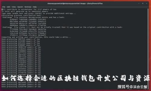 如何选择合适的区块链钱包开发公司与资源