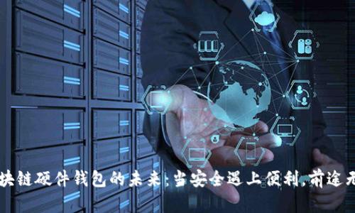 区块链硬件钱包的未来：当安全遇上便利，前途无量