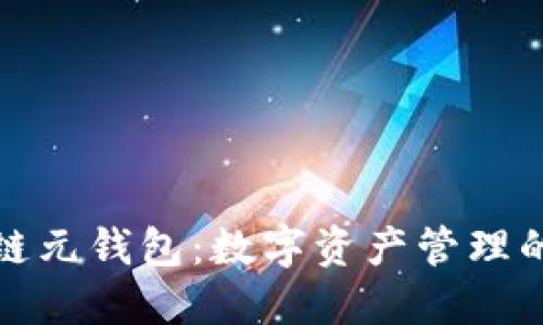 探索区块链元钱包：数字资产管理的新风向标