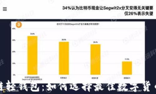 
探秘区块链轻钱包：如何选择最佳数字货币存储方案