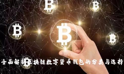 全面解析区块链数字货币钱包的分类与选择