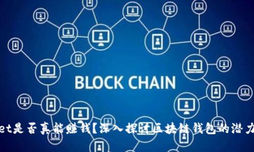 TPWallet是否真能赚钱？深入探讨区块链钱包的潜力与风险