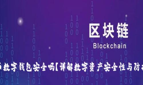 泰达币数字钱包安全吗？详解数字资产安全性与防护措施