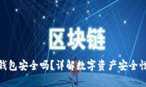 泰达币数字钱包安全吗？详解数字资产安全性与防护措施
