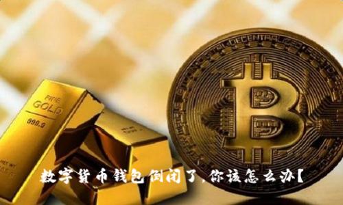数字货币钱包倒闭了，你该怎么办？