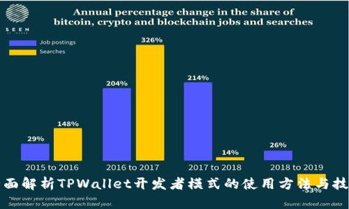 全面解析TPWallet开发者模式的使用方法与技巧