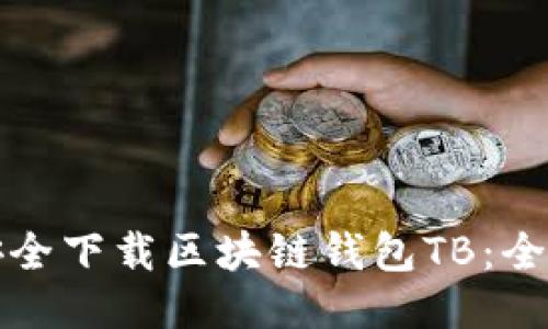 如何安全下载区块链钱包TB：全面指南