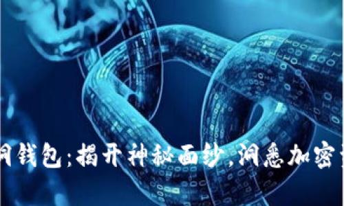 区块链中的黑洞钱包：揭开神秘面纱，洞悉加密资产的隐藏真相
