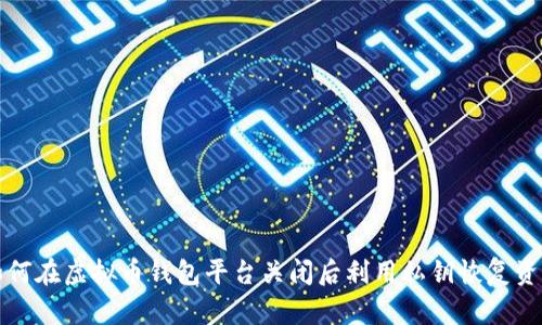 如何在虚拟币钱包平台关闭后利用私钥恢复资产