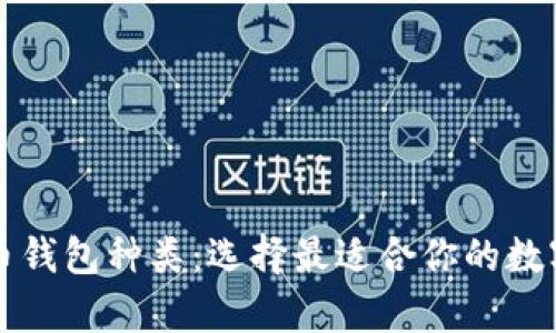 全面解析虚拟币钱包种类：选择最适合你的数字资产保管方式