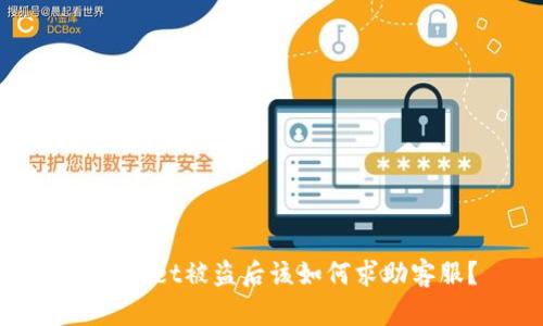 TPWallet被盗后该如何求助客服？