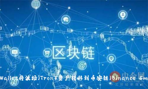 如何使用TPWallet将波场（Tron）资产转移到币安链（Binance Smart Chain）