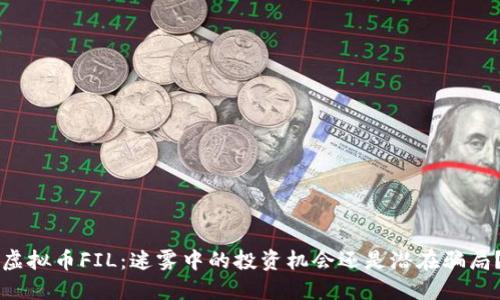 虚拟币FIL：迷雾中的投资机会还是潜在骗局？