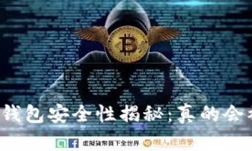 区块链钱包安全性揭秘：真的会被盗吗？