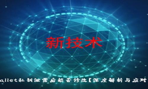 tpwallet私钥泄露后能否修改？深度解析与应对策略