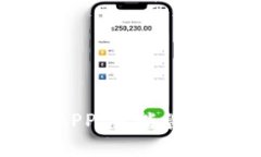 全面解析钱包APP：智能管理你的数字资产